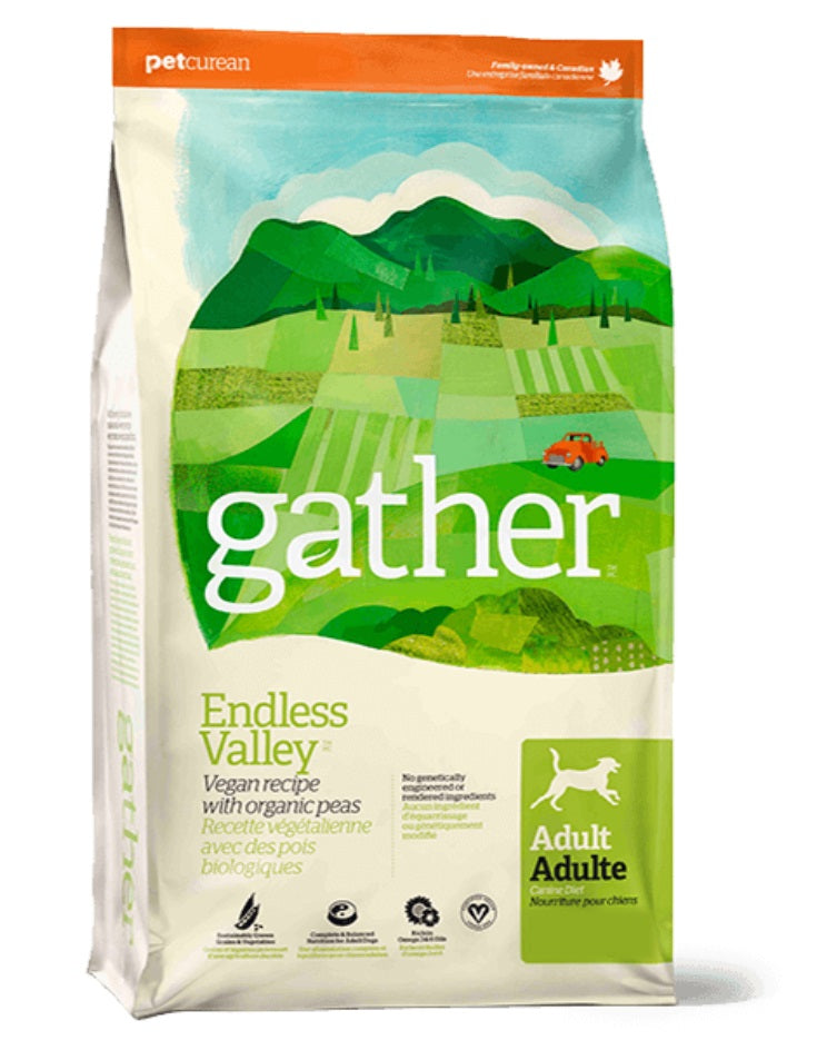 GATHER Chien Endless Valley SG