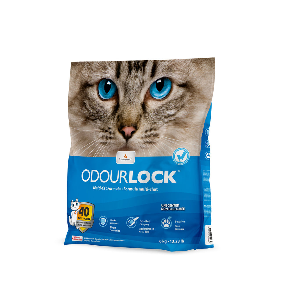 INTERSAND ODOURLOCK Litière Non Parfumée