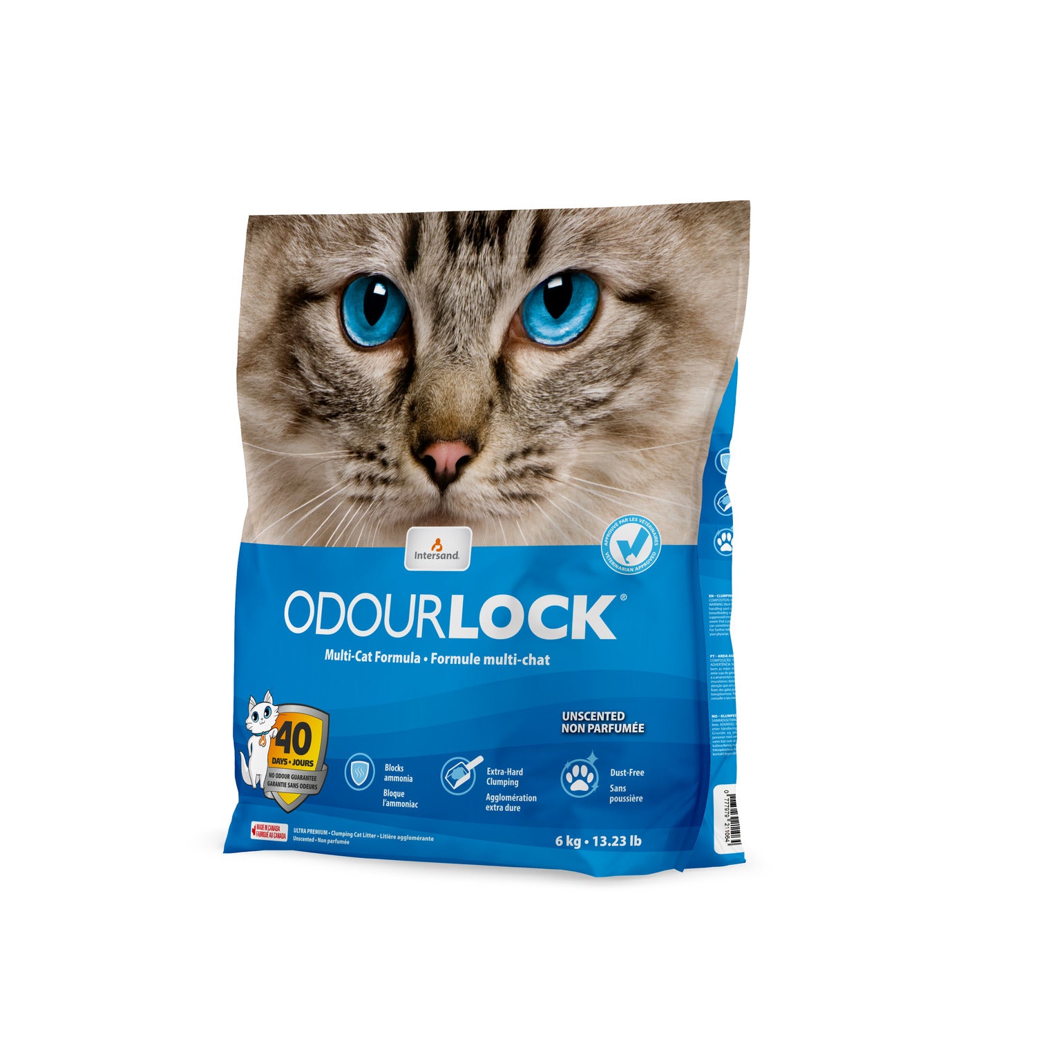 INTERSAND ODOURLOCK Litière Non Parfumée 6kg