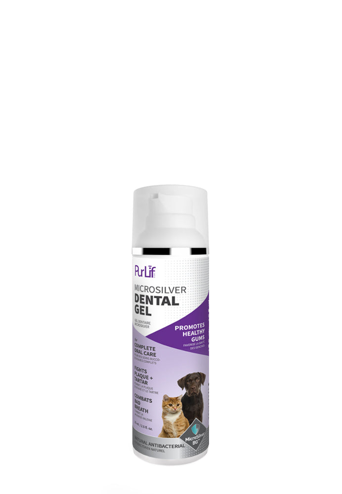 PURLIF TEK Gel Dentaire 75ml
