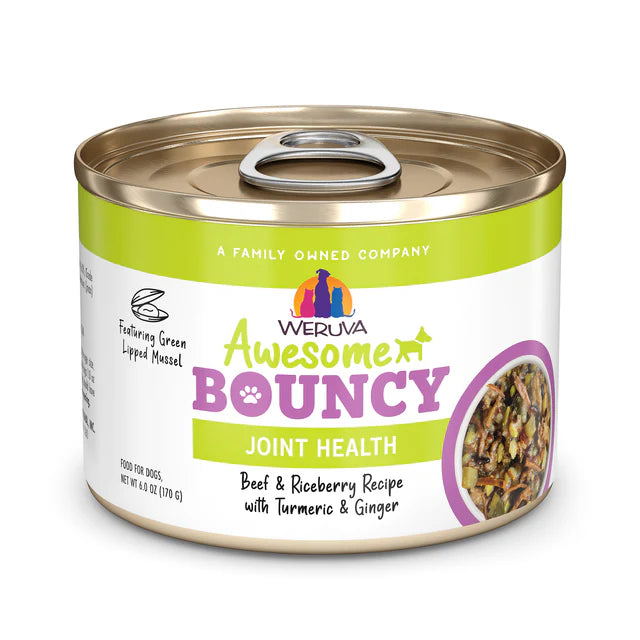 WERUVA FUNCTIONAL Chien Awesome Bouncy Boeuf en Bouiilon 170g