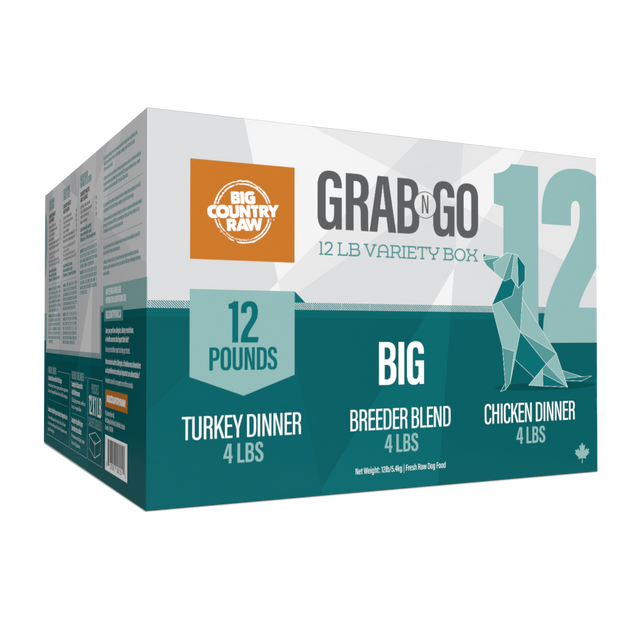 BCR GRAB N GO Chien Économique
