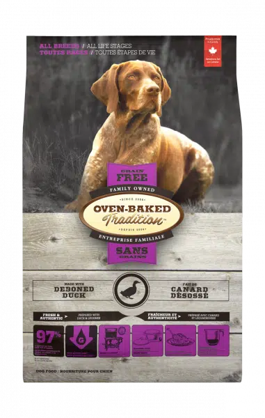 OBT SG Chien Canard
