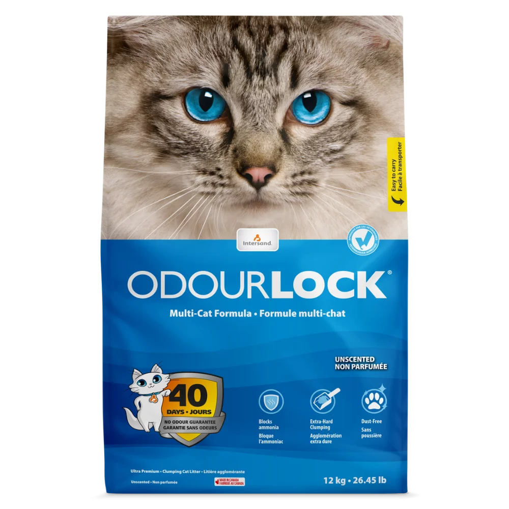 INTERSAND ODOURLOCK Litière Non Parfumée 12kg