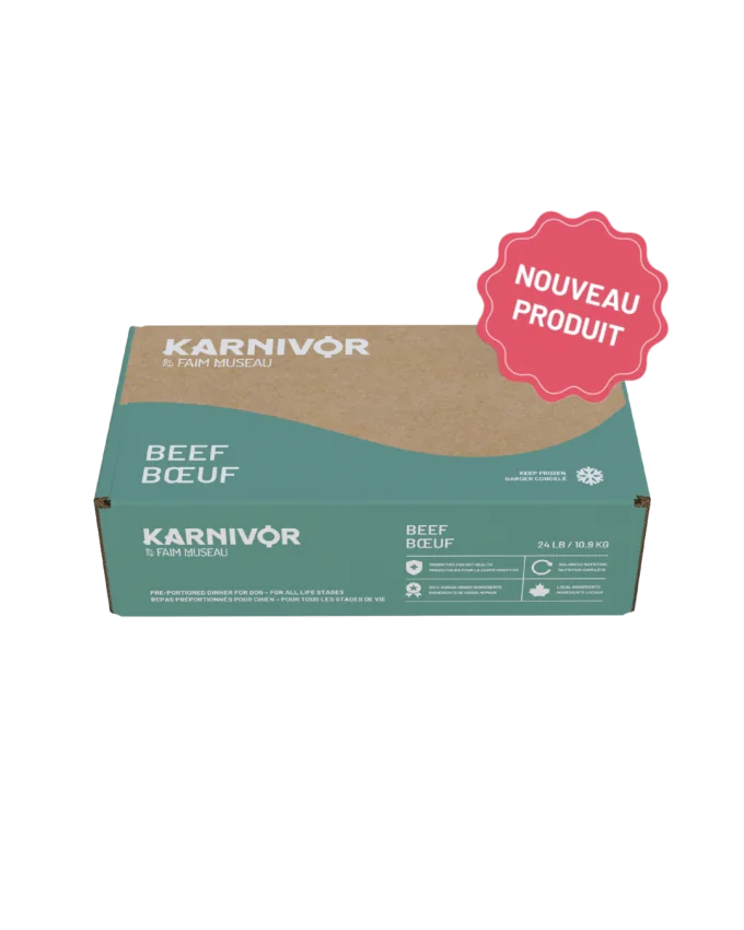 KARNIVOR HUNGRY SNOUT Dog Beef 10.9kg