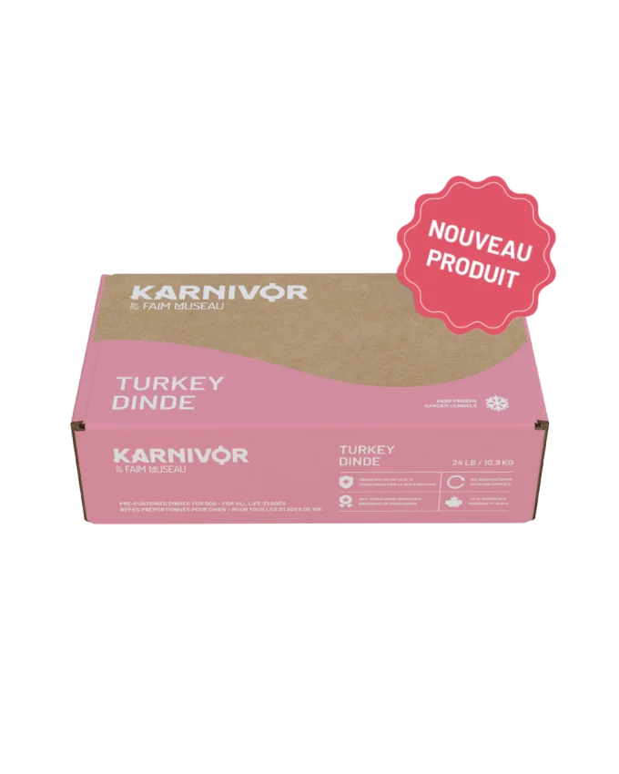 KARNIVOR HUNGRY SNOUT Dog Turkey 10.9kg